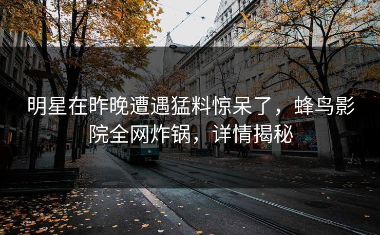 明星在昨晚遭遇猛料惊呆了,蜂鸟影院全网炸锅,详情揭秘 明星在昨晚遭遇猛料惊呆了,蜂鸟影院全网炸锅,详情揭秘