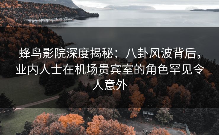 蜂鸟影院深度揭秘:八卦风波背后,业内人士在机场贵宾室的角色罕见令人意外 蜂鸟影院深度揭秘:八卦风波背后,业内人士在机场贵宾室的角色罕见令人意外